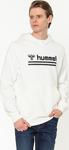 Hummel Hmldarins Hoodie Erkek Sweatshirt