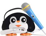 Hytech HY-XKS19 Siyah Karaoke Mikrofonlu USB TF Kart Bluetooth Hoparlör