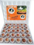 Irmaklar Organi̇k Yumurta Irmaklar Organik 30'Lu Küçük Boy Organik Yumurta (44-52Gr)