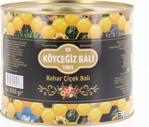 Kb Köyceğiz Balı Bahar Çiçek Balı 2850 G Teneke