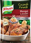 Knorr 32 gr Mangal Lezzeti Fırında Tavuk Çeşnisi