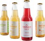 Kombuçça Kombucha Kombuça Probiyotik Kombu Çayı 4'Lü Tanışma Paketi