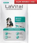 LaVital Maxi Puppy Somonlu 1 kg Büyük Irk Yavru Köpek Maması - Açık Paket