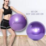 Leyaton Pilates Topu 75 Cm Mor Renk + Pompa