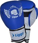 Liggo Force Boks Eldiveni Kick Boks Muay Thai Eldiveni Kırmızı - 6 Oz