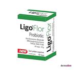 Ligoflor Probiyotik 10 Kapsül