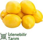 Limon 1 Kg.