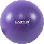 Liveup Ls3225 20 Cm Mini Pilates Topu