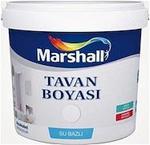 Marshall Tavan Boyası 10,5 L / 17,5 Kg