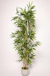 Mh Minihediye Yapay Çiçek Beton Saksıda Bambu Ağacı Yoğun Dolgun Yapraklı