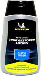 Michelin MC32194 250 ml Parlak Torpido ve Tampon Bakım Losyonu