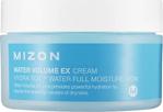 Mizon Water Volume Ex Cream Big, Kuruluk Karşıtı Nemlendirici & Yatıştırıcı Krem, 230 Ml