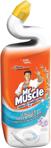 Mr. Muscle Bahar Tazeliği 750 Ml Tuvalet Temizleyici Jel