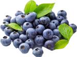 Mutlu Sebzeler 125 Gr Yaban Mersini Blue Berry