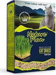 Nature Plan Kedi Çimi 500 Ml