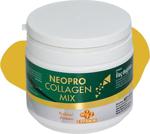 Neopro Collagen Mıx Tip 1-2-3 Kolajen