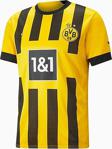 Nerixgiyim Borussia Dortmund 2022/2023 Forma