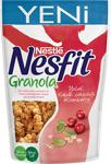 Nesfit Granola 300 gr Yulaf Kabak Çekirdeği Cranberry Kahvaltılık Gevrek