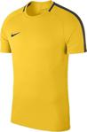 Nike Academy 18 Ss Top T-Shirt