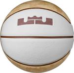 Nike Lebron Skılls Unisex Basketbol Topu