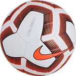 Nike Strike Pro Team No:5 Futbol Topu