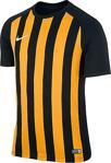 Nike Striped Segment Iii Kısa Kol Futbol Forma