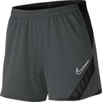 Nike W Dry Acdpr Short Kp Kadın Şort Bv6938-010