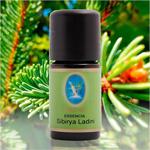 Nuka Defne Esencia Sibirya Ladini Yağı 5 Ml. (Naturel Damıtma)