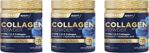Nutraxin Collagen Powder Gold Quality 300 Gr 3 Kutu