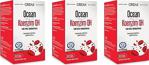 OCEAN KOENZİM QH 100 MG 30 KAPSÜL 3'LÜ PAKET