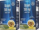 Ocean Plus 500Mg Balık Yağı 60 Kapsül Limon Aromalı Yeni Ambalajında (Blister) Skt 09/2023 X 2 Adet