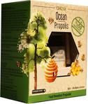 Orzax Ocean Propolis Bitkisel Besin Desteği Sprey 20 Ml 2 Li