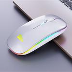 Paleon Plo-E1300 Rgb Işıklı Şarj Edilebilir Kablosuz Mouse