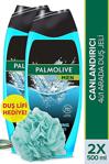 Palmolive Men Sport Revitalizing 4'Ü 1 Arada Canlandırıcı 500 Ml 2 Adet Duş Jeli