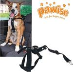 Pawise Emniyet Kemeri Tokalı Köpek Tasması Medium 50-70 Cm