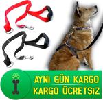 Petviya Köpek Eğitim Gezdirme Tasması - Göğüs Bel Tasması Kayışı Kırmızı