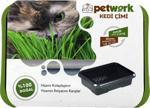 Petwork Mama Kabı Olabilen Kedi Çimi