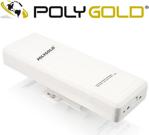 Polygold PG-745 150 Mbps Kablosuz Ağ Adaptörü