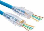 Powermaster Ez Rj45 Cat6 Açık Uçlu Soket 8P/8C Cat6 Konnektör 100 Adet Jack