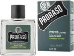 Proraso Cypress Vetyer 100 Ml Sakal Balsamı