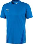 Puma 70417102 Teamgoal 23 Jersey Erkek Forması Mavi - L