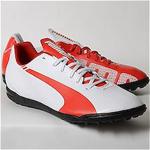 Puma Evospeed 5.3 TT Erkek Halı Saha Ayakkabısı 103114-02