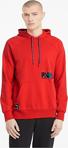 Puma Intl Graphic Hoodie Erkek Sweatshirts -