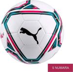 Puma Teamfinal 21.6 Ms Ball Erkek Top