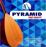 Pyramid Premium Kalite Uzun Sap Saz Teli 0,20