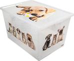 Qutu Lighte Box Cat And Dog Oyuncak Kutusu