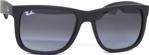 Ray-Ban 4165 601-8G Unisex Güneş Gözlüğü