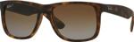 Ray-Ban Rb4165 865/T5 54 Polarize Unisex Güneş Gözlüğü