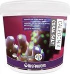 Reeflowers Caledonia Coral Salt 22Kg