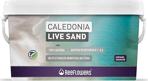 Reeflowers Caledonia Live Sand Purple 18 Kg Deniz Akvaryumları Için Canlı Kum